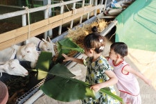 땅끝 마실 한번 오실래요 해남 땅끝마실