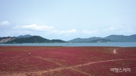다양한 모습을 지닌 그 섬에 가고 싶다. 인천 강화 석모도