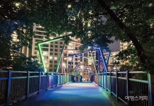 불빛이 아름다운 안양의 여름밤 꽃과 함께 하는 야경 산책