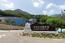 성주에서 보내는 느긋한 휴가, 가야산 심산유곡