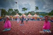 신선한 농산물과 먹거리 넘치는 괴산고추축제