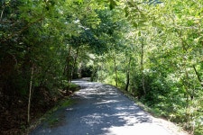 한 편의 동화 같은 숲 나들이, 원주 동화마을수목원