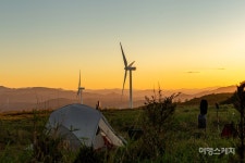 [특집②은빛 가을을 만나러 갑니다] 바람의 언덕, 선자령을 걷다