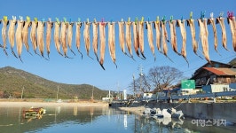 [마을따라 마음따라] 칠산바다 그 화려했던 날들 속으로, 부안 위도