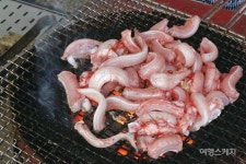 [소문난 먹거리촌 ⑨] 놓칠 수 없는 부산음식 3대 장 중 하나, 부산 자갈치시장 곰장어거리