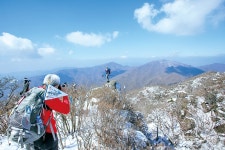 [특집1] 눈꽃 봄꽃 사람꽃 초봄 산행길, 전남 광양 백운산
