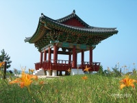 [해안누리길 여행] 신라 화랑과 조선 선비의 흔적을 따라, 경북 울진 관동팔경길