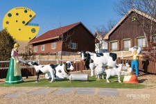 [가족 여행지 추천] 온 가족을 위한 치즈 모험, 임실치즈테마파크