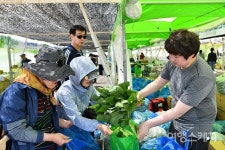 청정자연에서 만나는 특별한 시간, 정선 곤드레 산나물축제