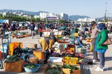 [전통시장 탐방] 강릉사람들의 아침맞이 강릉 새벽시장