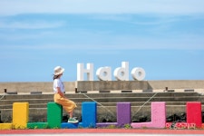 [사진 맛집] 단단하게, 때론 우아하게