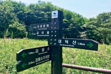 [특집① 발원지를 찾아가는 여행_한강] 백두대간 들꽃 따라, 태백 검룡소 트래킹