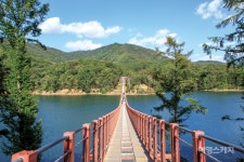 [사진 맛집] 아찔하지만 설레는 출렁다리에서 찰칵!