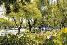 [이달의 테마여행 ①] 찬란했던 백제의 시간 속으로, 사비길 따라 부여 한 바퀴