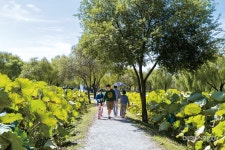 [이달의 테마여행 ①] 찬란했던 백제의 시간 속으로, 사비길 따라 부여 한 바퀴