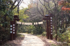 [아름다운 산행] 새롭게 열린 월출산 옛 명사탐방길, 하늘 아래 첫 부처길