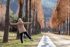 [힐링 여행] 솔바람길 걷고 육백 년 온천에 몸을 맡겨볼까, 예산 온천 여행