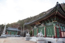 [힐링 여행] 솔바람길 걷고 육백 년 온천에 몸을 맡겨볼까, 예산 온천 여행