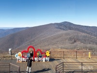 햇살 머금은 산그리메, 정선 가리왕산 케이블카 일출 여행