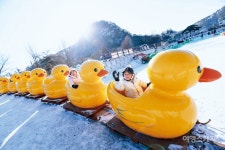 설경이 둘러싼 풍경 속을 달리는 기분~ 포천 산정호수 썰매축제