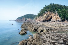 [섬 여행] 세상에 부러울 것 없는 섬, 장고도