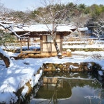 [힐링 여행] 조선시대 선비들의 숨결이 남아 있는 강진 백운동 별서 정원