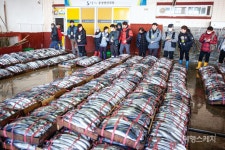 [특집②] 마음을 설레게 하는 통영 3색 봄맛