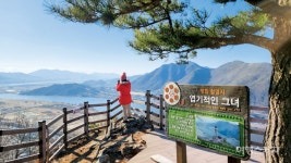 [특집 ①] 낙동강 옆 양산 골목 여행, 양산 순매원