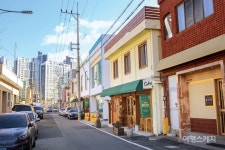 [특집 ①] 낙동강 옆 양산 골목 여행, 양산 순매원