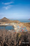 [섬 여행] 설레고 애정하는 그 섬, 외연도