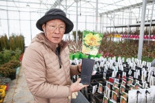 [특집 ①] 국내 최대의 묘목 시장으로 떠나는 옥천 봄 여행