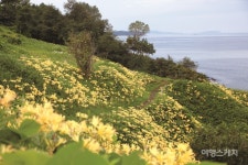 [가족 여행지 추천] 봄 따라 바람 따라, 설레는 나들이, 전북 부안 변산마실길 1~2코스
