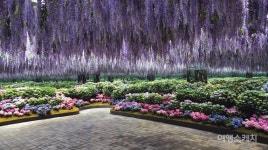 [이달의 테마여행 ①] 꽃길, 물길 다니며 자연풍경에 물들어볼까? 자라섬 꽃 페스타와 북한강 천년뱃길