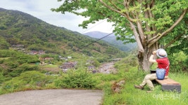 [특집 ①] 싱그러움이 무엇이냐고 물으신다면, 경남 하동 천년다향길