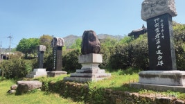 [특집 ①] 싱그러움이 무엇이냐고 물으신다면, 경남 하동 천년다향길