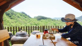 [특집 ①] 싱그러움이 무엇이냐고 물으신다면, 경남 하동 천년다향길