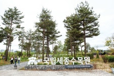 [마을따라 마음따라] 열심히 일했으니 마음껏 쉬어볼까, 세종시 세종동