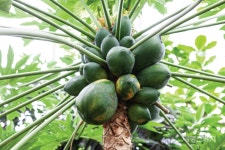 [마을따라 마음따라] 열심히 일했으니 마음껏 쉬어볼까, 세종시 세종동