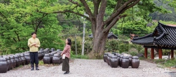 [특집 ②] 좋은 누룩으로 빚은 술은 한 잔의 보약, 정읍 한영석의 발효연구소