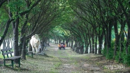 [특집 ①] 아이들 교육과 어른들 여행욕구를 모두 충족하는 충청남도 가족여행지 3선