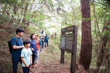 [코리아둘레길을 걷다] 인걸은 가고 길만 호젓하게 남았네, 고창 서해랑길 43코스