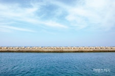 [제주 원도심 도보 투어 ②] 성안올레 2코스 - 찐 제주를 만나는 힐링 산책