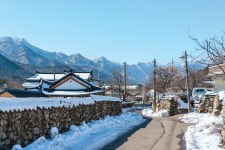 [특집  ②] 새해에도 파이팅 해야지! 속초 에너지 충전 여행