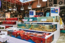 [특집  ②] 새해에도 파이팅 해야지! 속초 에너지 충전 여행