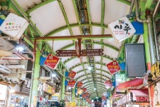 [특집  ②] 새해에도 파이팅 해야지! 속초 에너지 충전 여행