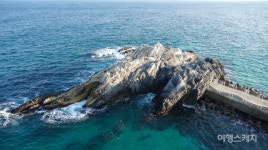 [겨울의 맛] 바다와 대게 그리고 푸근한 온천까지! 울진에서 만나는 부드럽고 짭쪼름한 맛