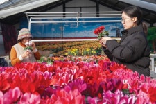 [마을따라 마음따라] 아로마 테라피와 스파 테라피를 한 곳에서~ 아산 도고