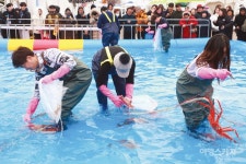동해바다와 대게에 푸~욱 빠지다! 울진대게와 붉은대게 축제