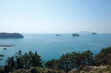 [이달의 테마여행 ①] 바다풍경부터 신선한 해산물까지, 봄꽃 따라 혼자 떠난 통영여행