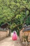 [올해의 여행지] 2025 산청방문의 해! 전통과 자연이 어우러진 사계절 관광지